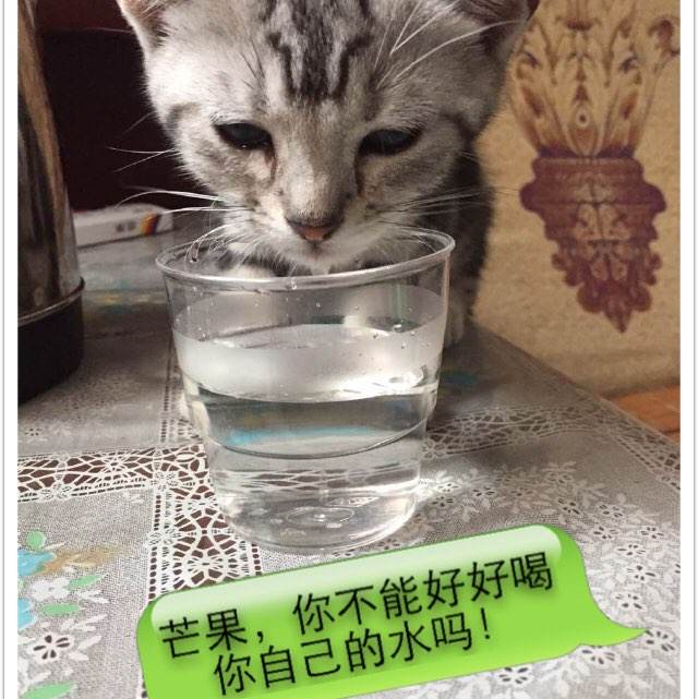 弗雷德里克（Frederick）租房 毕业证成绩单认证办理
